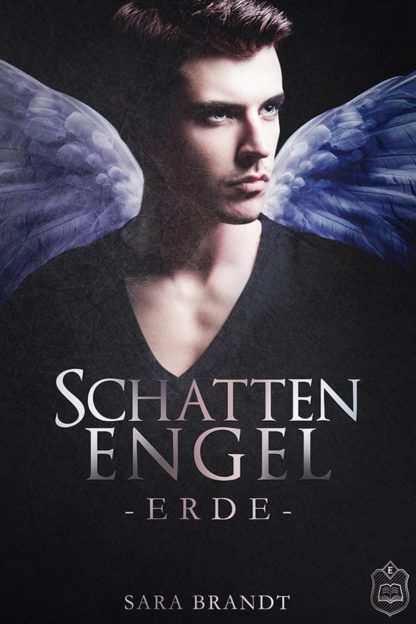 Das Cover zu Schattenengel 1 - Erde von Sara Brandt. Ein Mann mit blauen Flügeln schaut zur Seite.